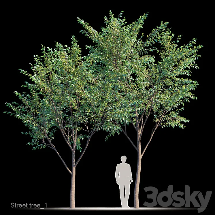 Street tree v1 3DS Max