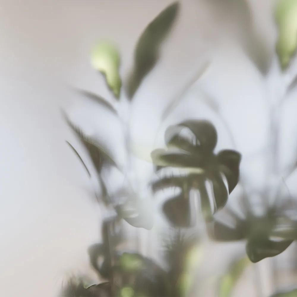 Studijo Wallart – Wallpaper Greenhouse 3ds Max