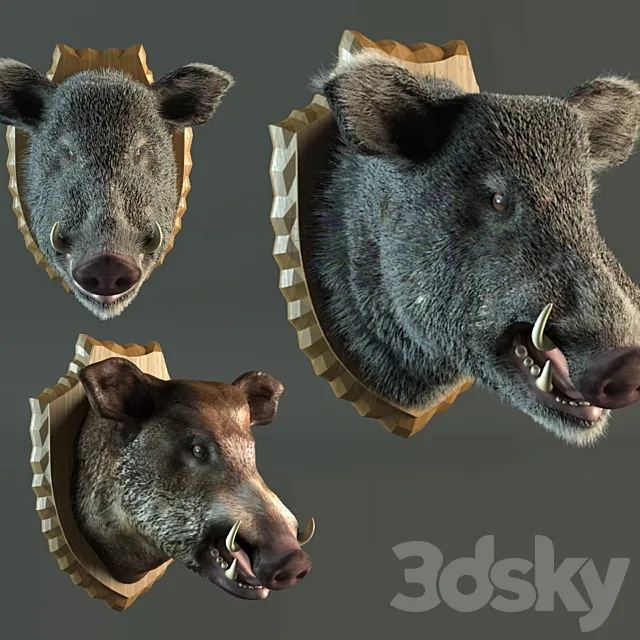 stuffed wild boar 3DSMax File