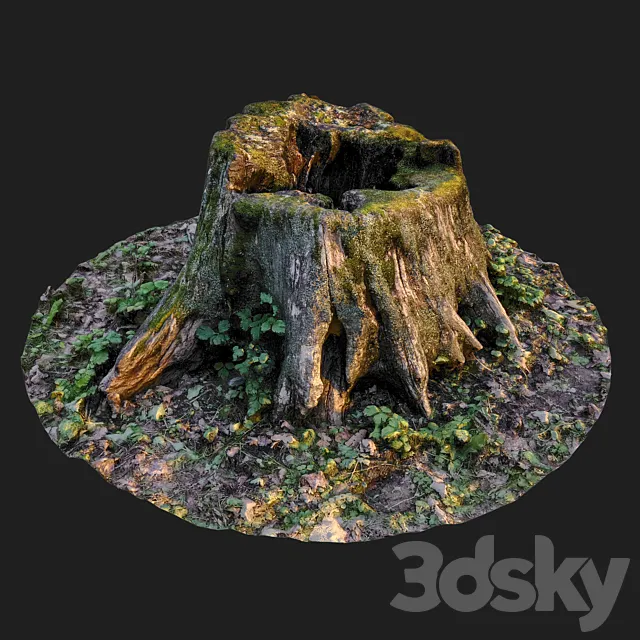 Stump 3ds Max