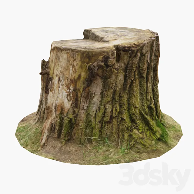 Stump 3ds Max