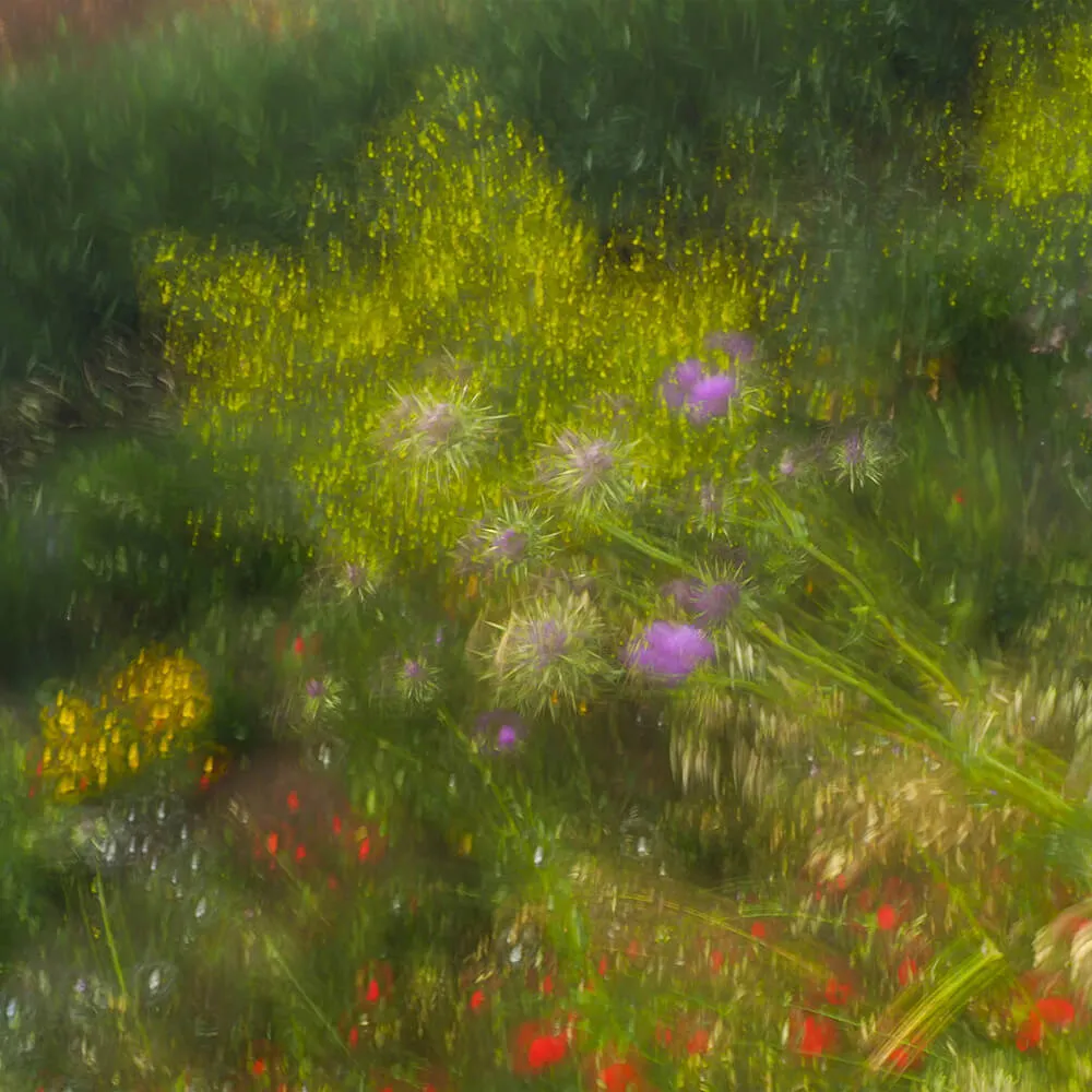 Styl’editions – Wallpaper Armonie di Forme Incerte 3ds Max