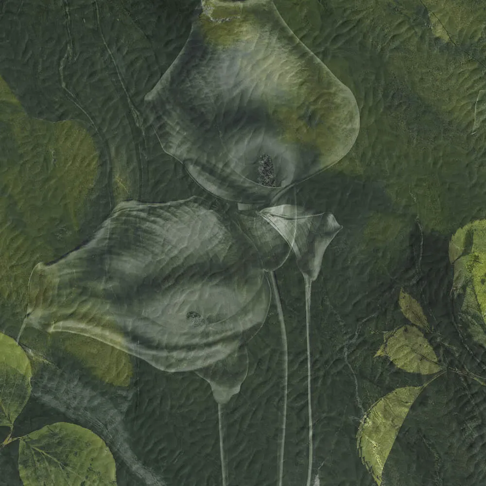 Styl’editions – Wallpaper Avocado 3ds Max