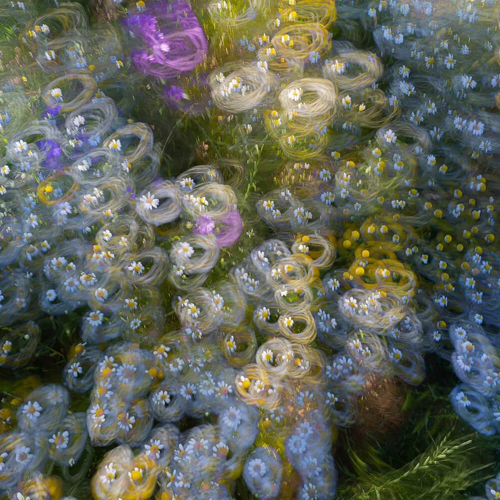 Styl’editions – Wallpaper Stelle di Terra 3ds Max