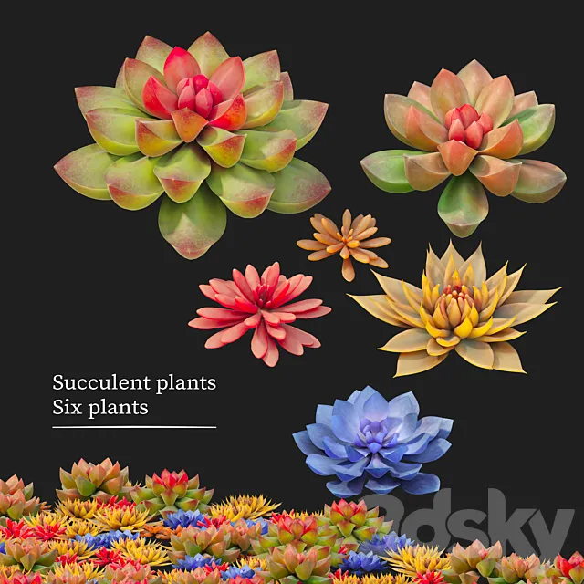 Succulent plants 02 3DS Max Model