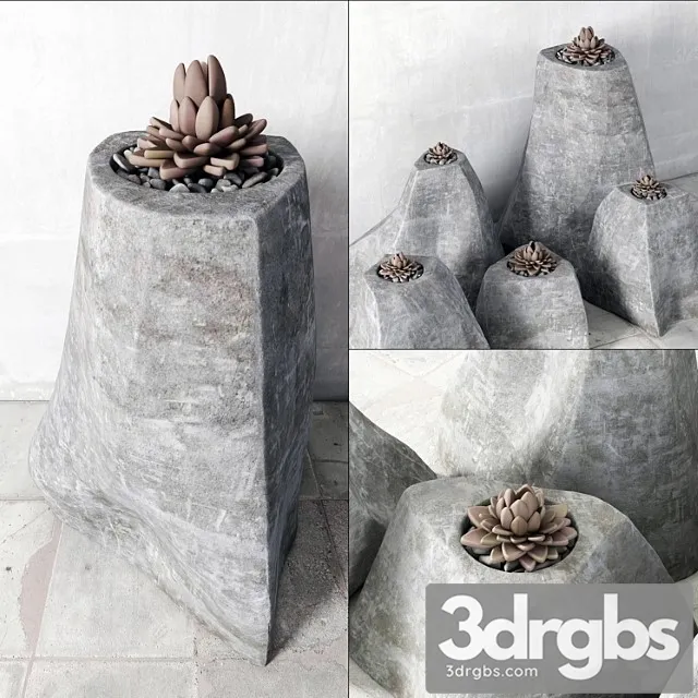Succulent rock vase 3dsmax Download