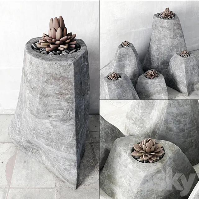 Succulent rock vase 3DS Max Model