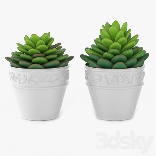 Succulents 09 3DS Max Model