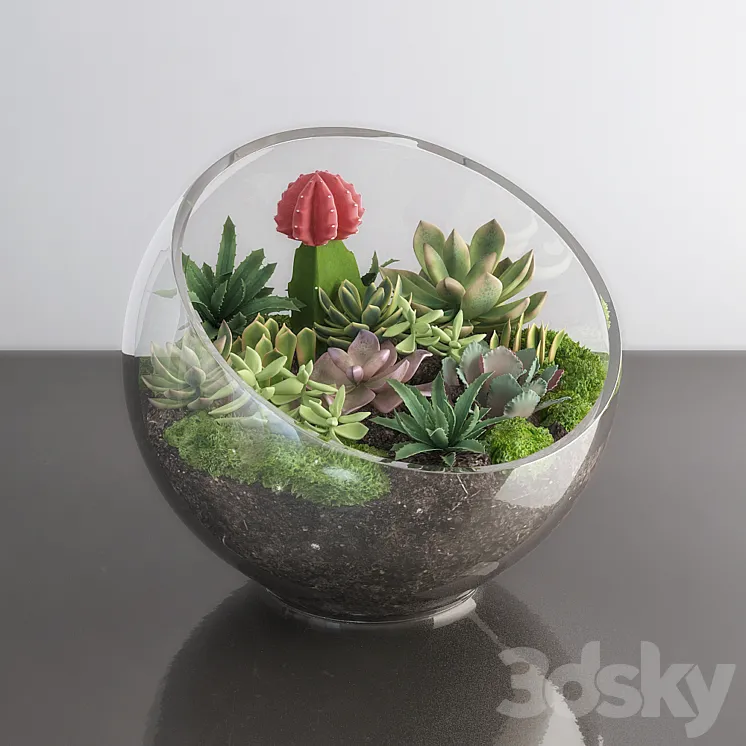 Succulents in glass bowl 3DS Max