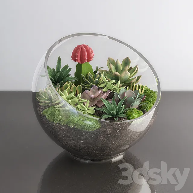 Succulents in glass bowl 3DSMax File