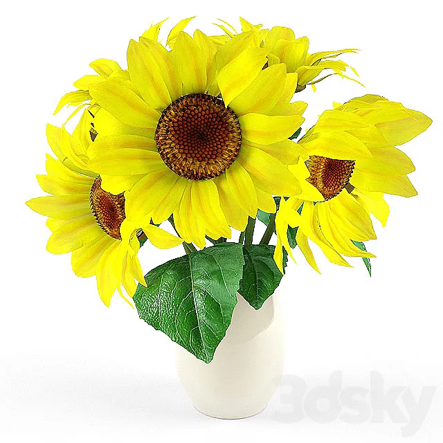 sunflower 3ds Max