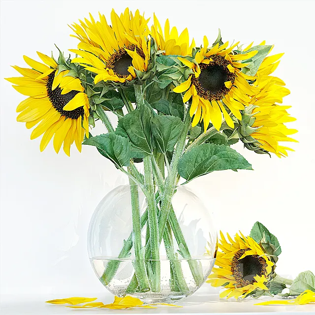 Sunflower1 3DSMax File