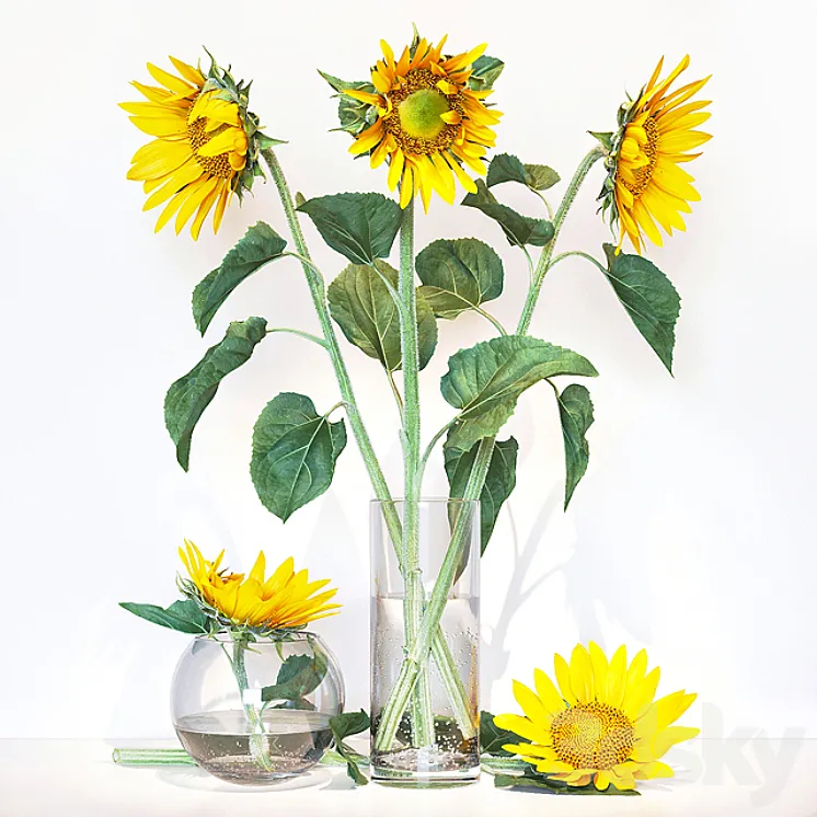 Sunflower2 3DS Max