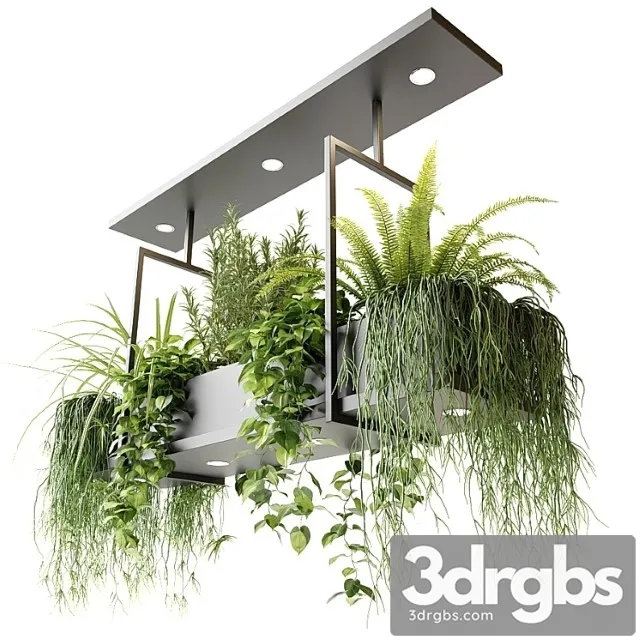 Suspended luminaire with plants oslo 3dsmax Download
