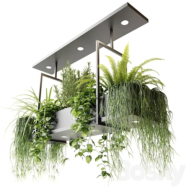Suspended luminaire with plants OSLO 3DS Max Model