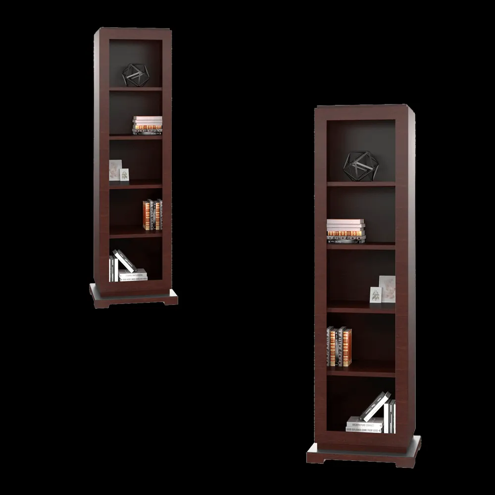 Svetlana Deryugina – Bookcase Downtown 3ds Max