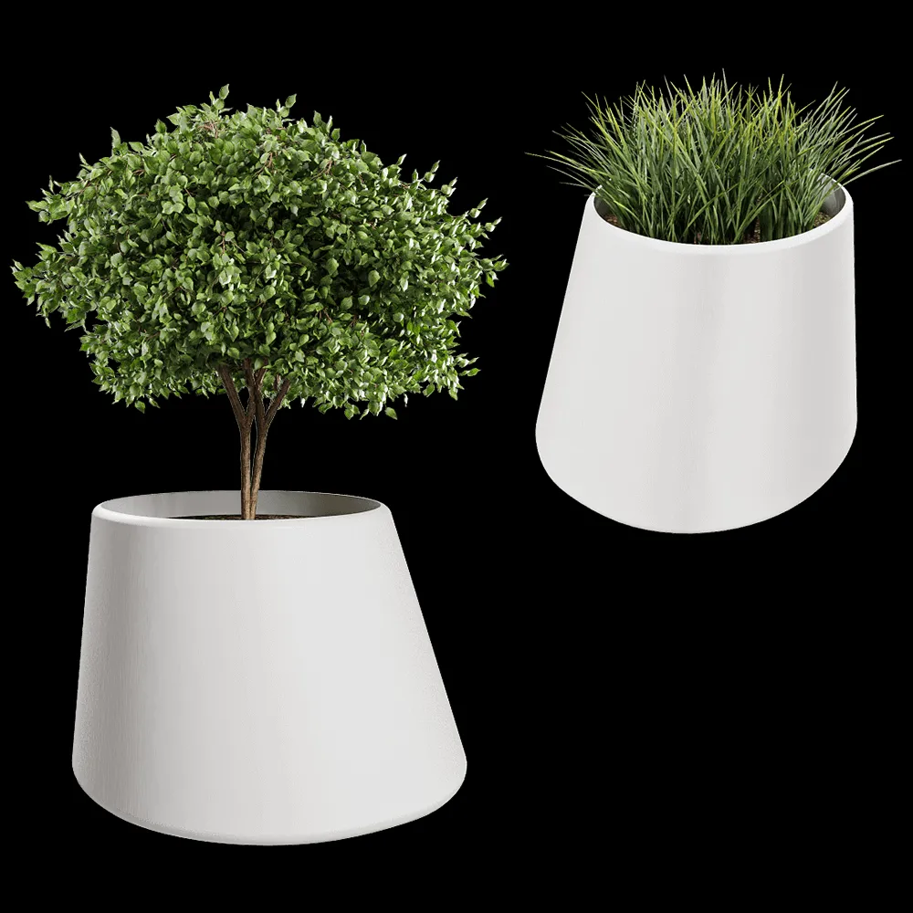 Systemtronic – Plant Pot Conee 3ds Max
