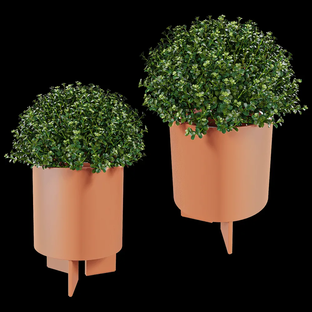 Systemtronic – Planter Croma S 3ds Max