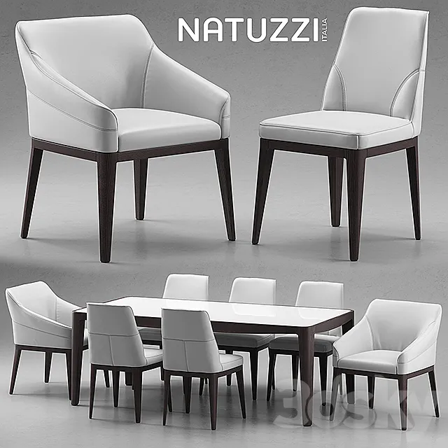 Table and chairs Natuzzi minerva. Saturno. Vesta 3DSMax File