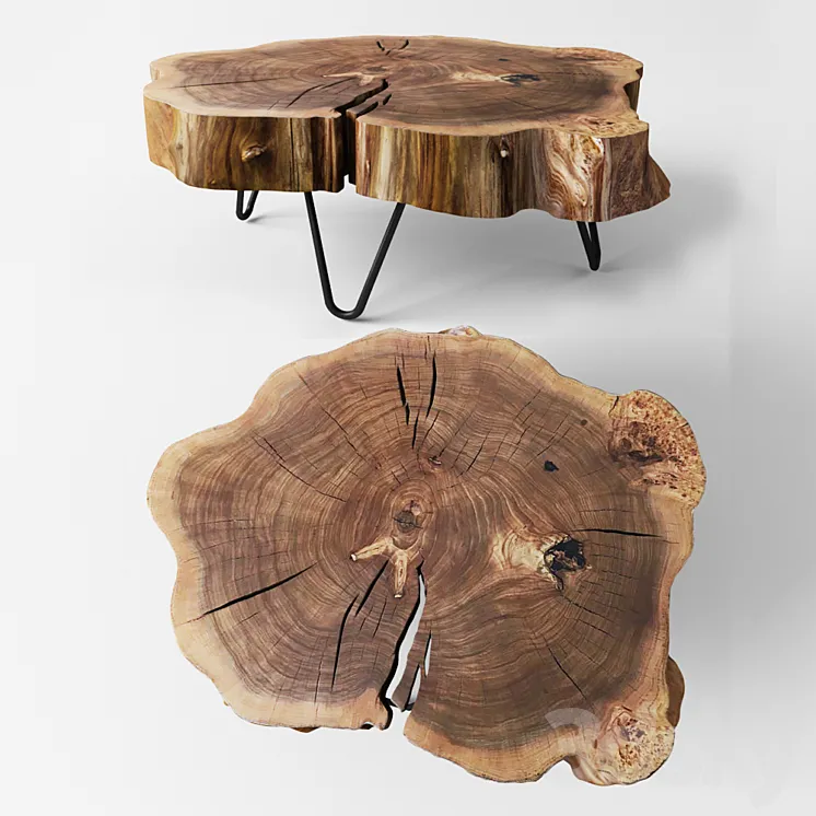 table of elm 3DS Max