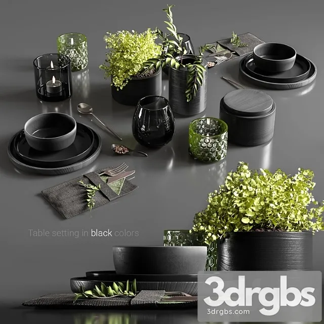 Table Setting In Black Colors 2 3dsmax Download