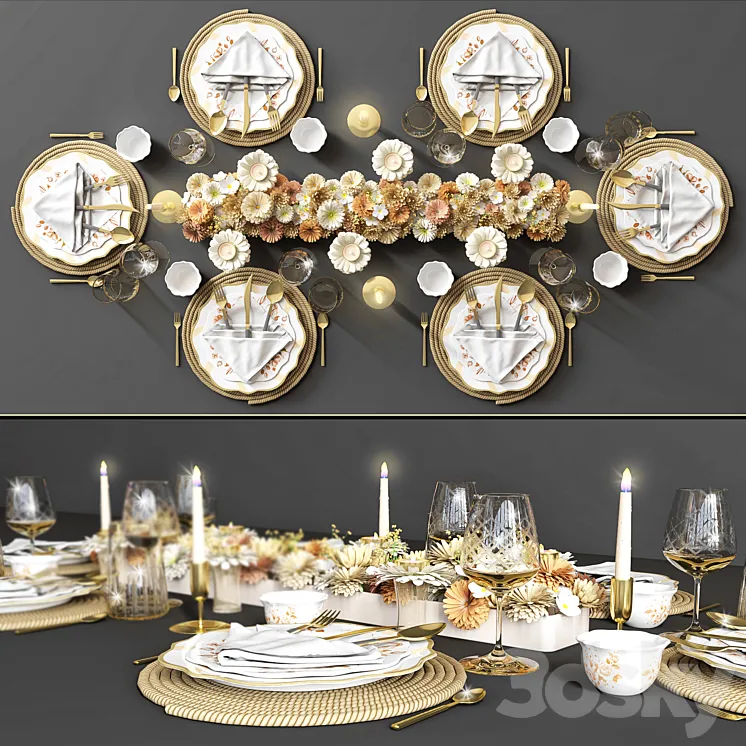 table setting_102 3DS Max Model