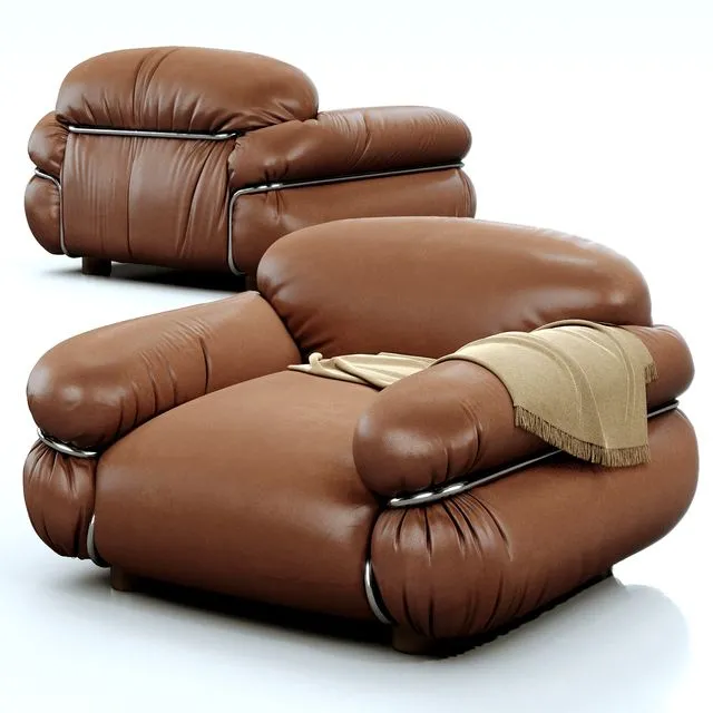 Tacchini SESANN Armchair 3dsMax Model