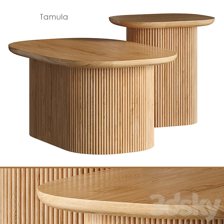 Tamula Coffee table 3DS Max