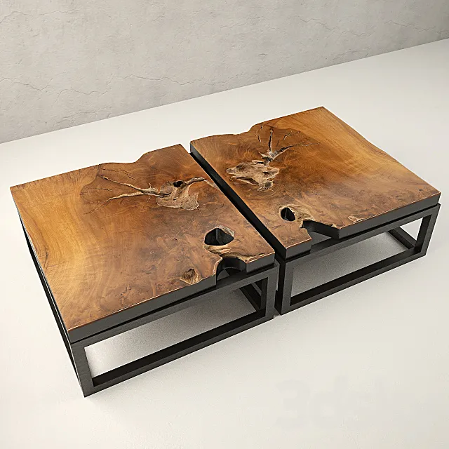 Teak Coffee Table 3DS Max Model