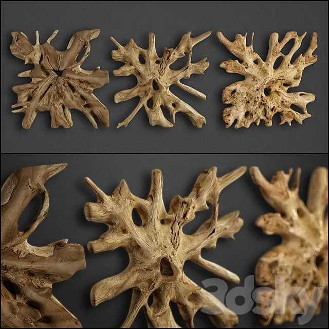 teak root 3ds Max