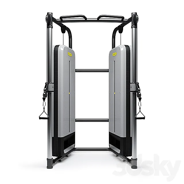 Technogym DUAL ADJUSTABLE PULLEY exercise machine – PERFORMANCE 3DS Max Model