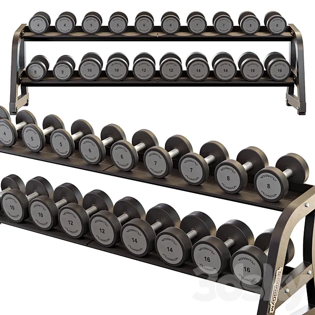 Technogym Two Tier Dumbbell Rack 3DS Max Model