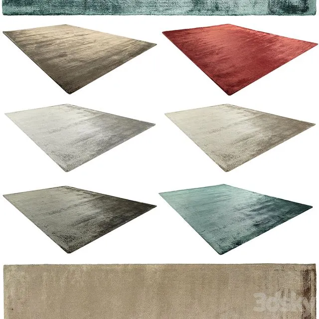 Teppich Viscose 3dsMax Model