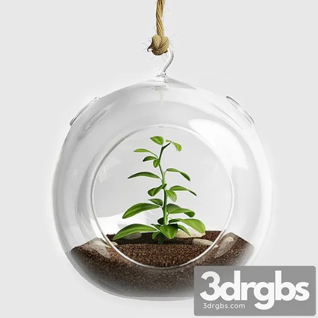 Terrarium for herbs