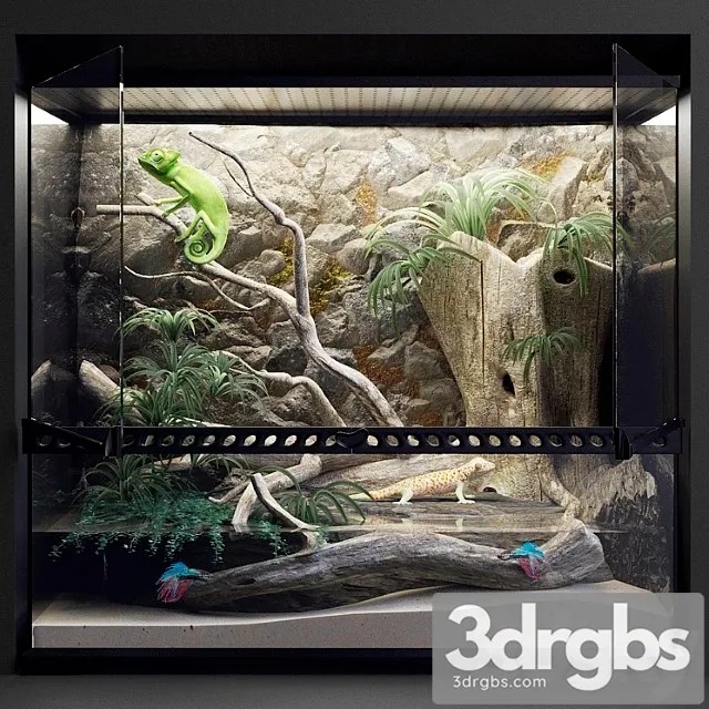 Terrarium_2 3dsmax Download