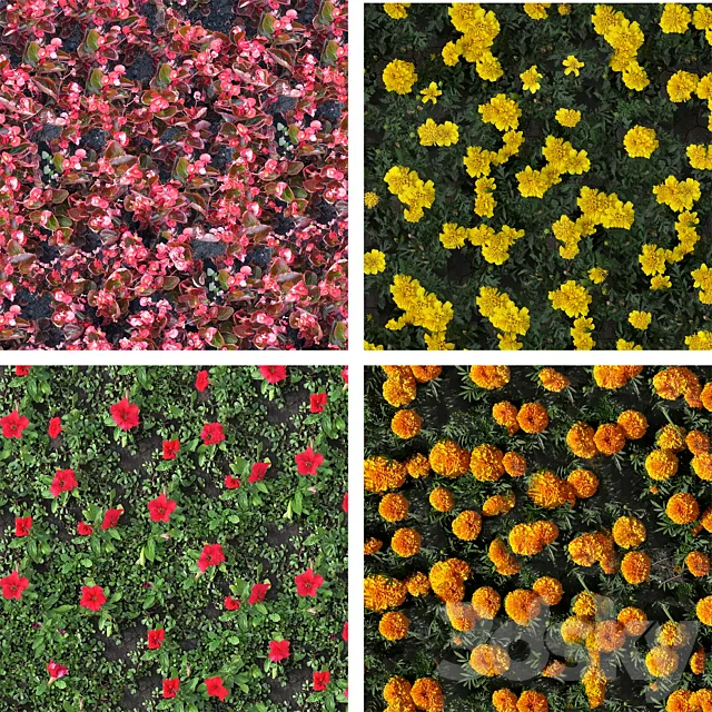 texture flower beds 3DS Max Model