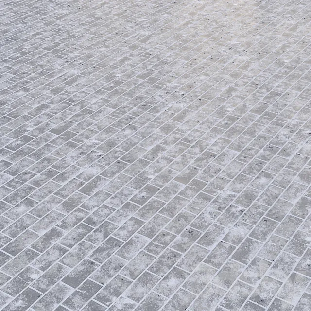 Texture of snow-covered paving stones 3ds Max