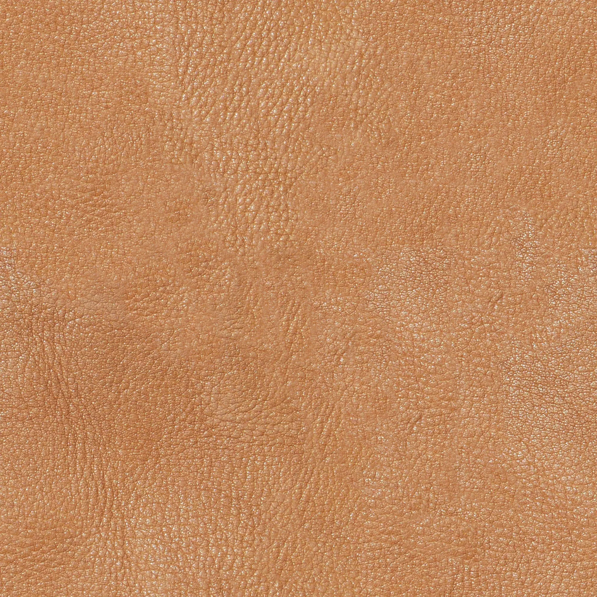 textures – Leather 22 3ds Max