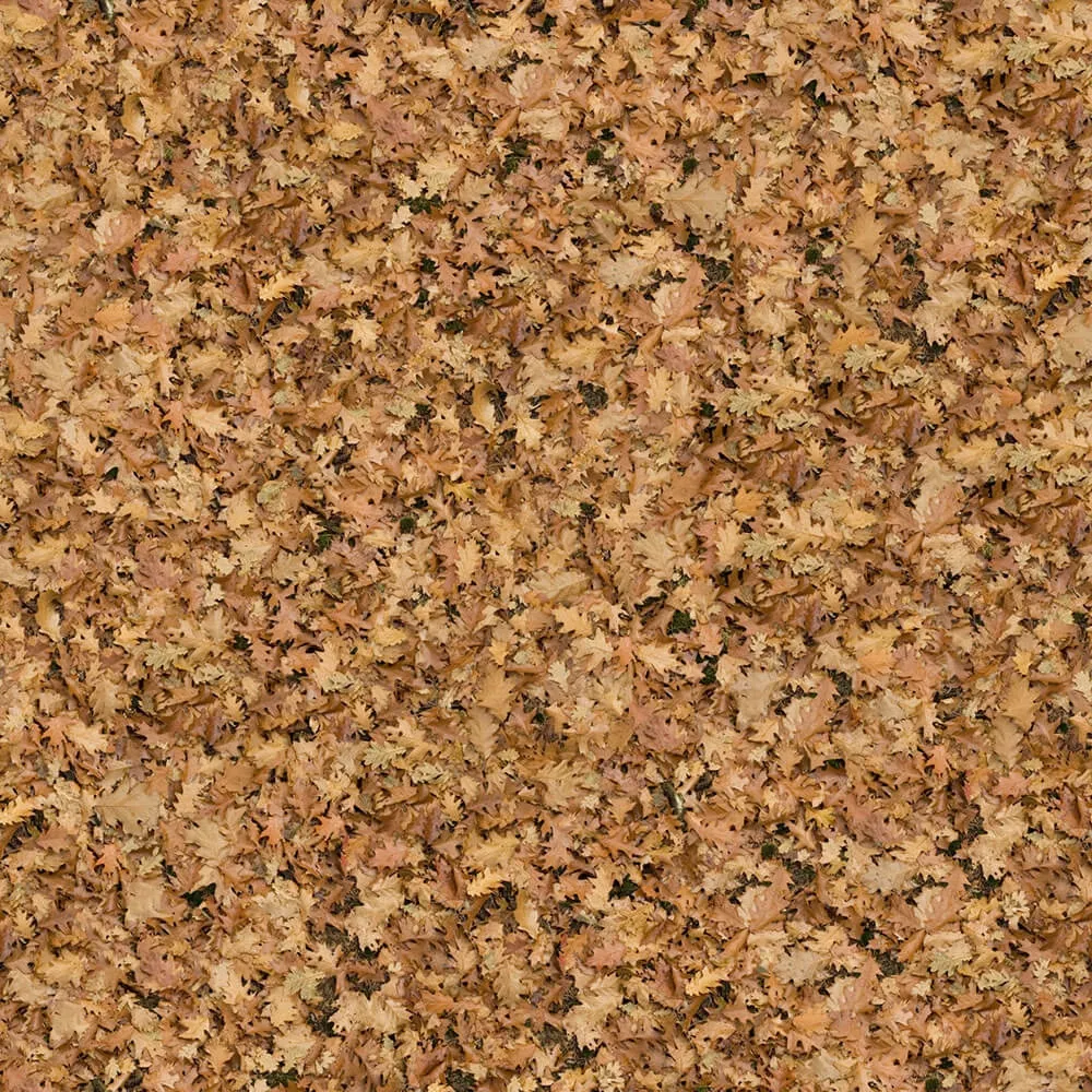 textures – Organic 1 3ds Max