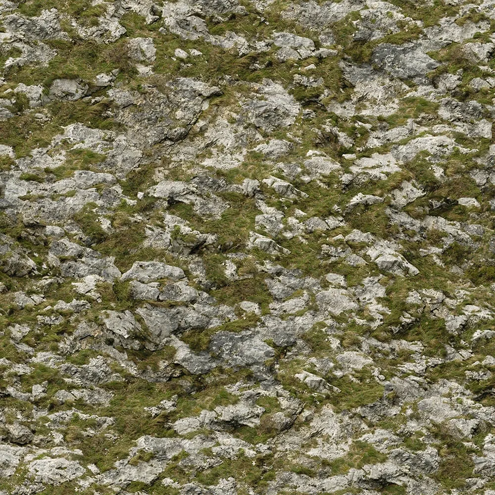 textures – Organic 10 3ds Max