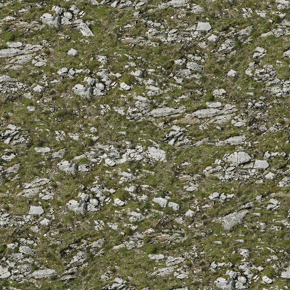 textures – Organic 11 3ds Max