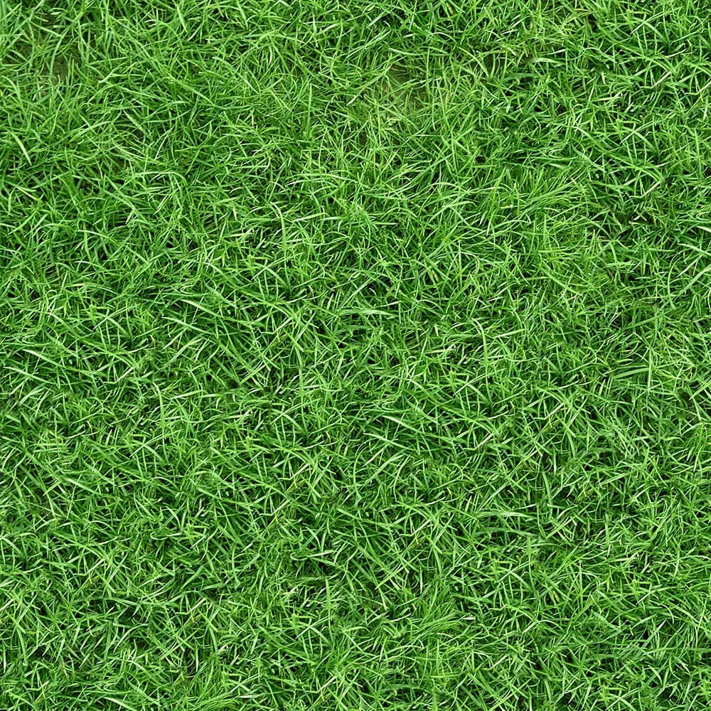 textures – Organic 16 3ds Max