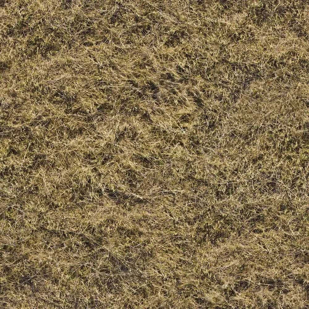 textures – Organic 19 3ds Max