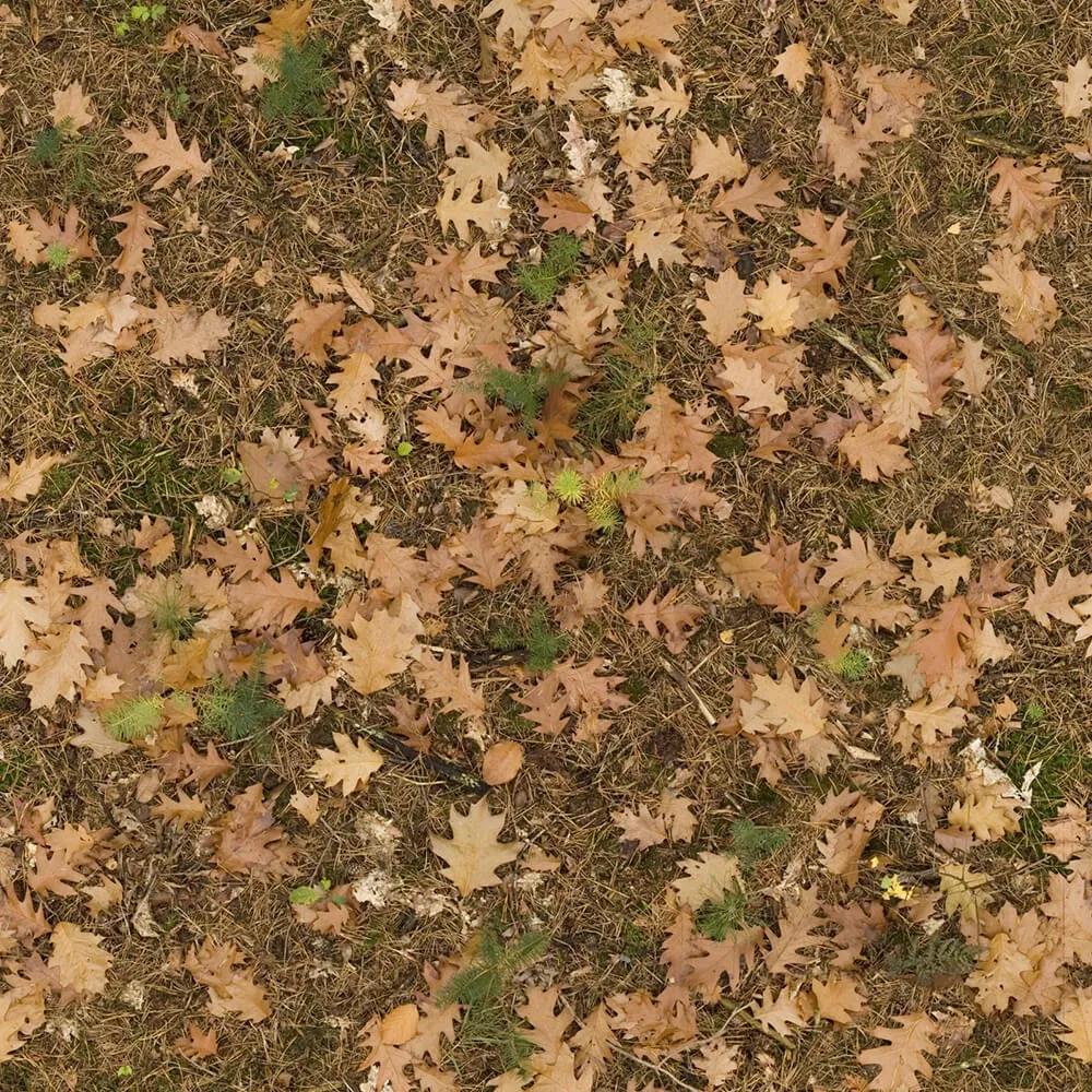 textures – Organic 2 3ds Max