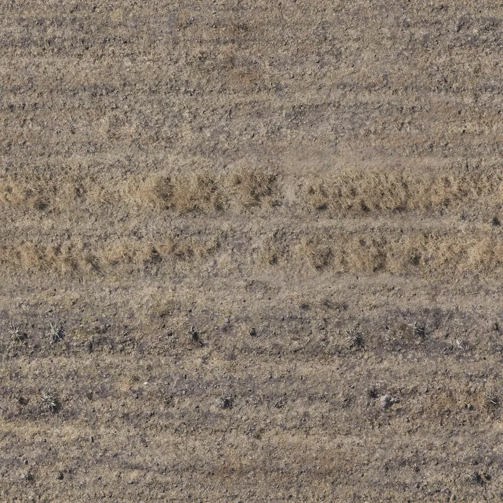 textures – Organic 20 3ds Max