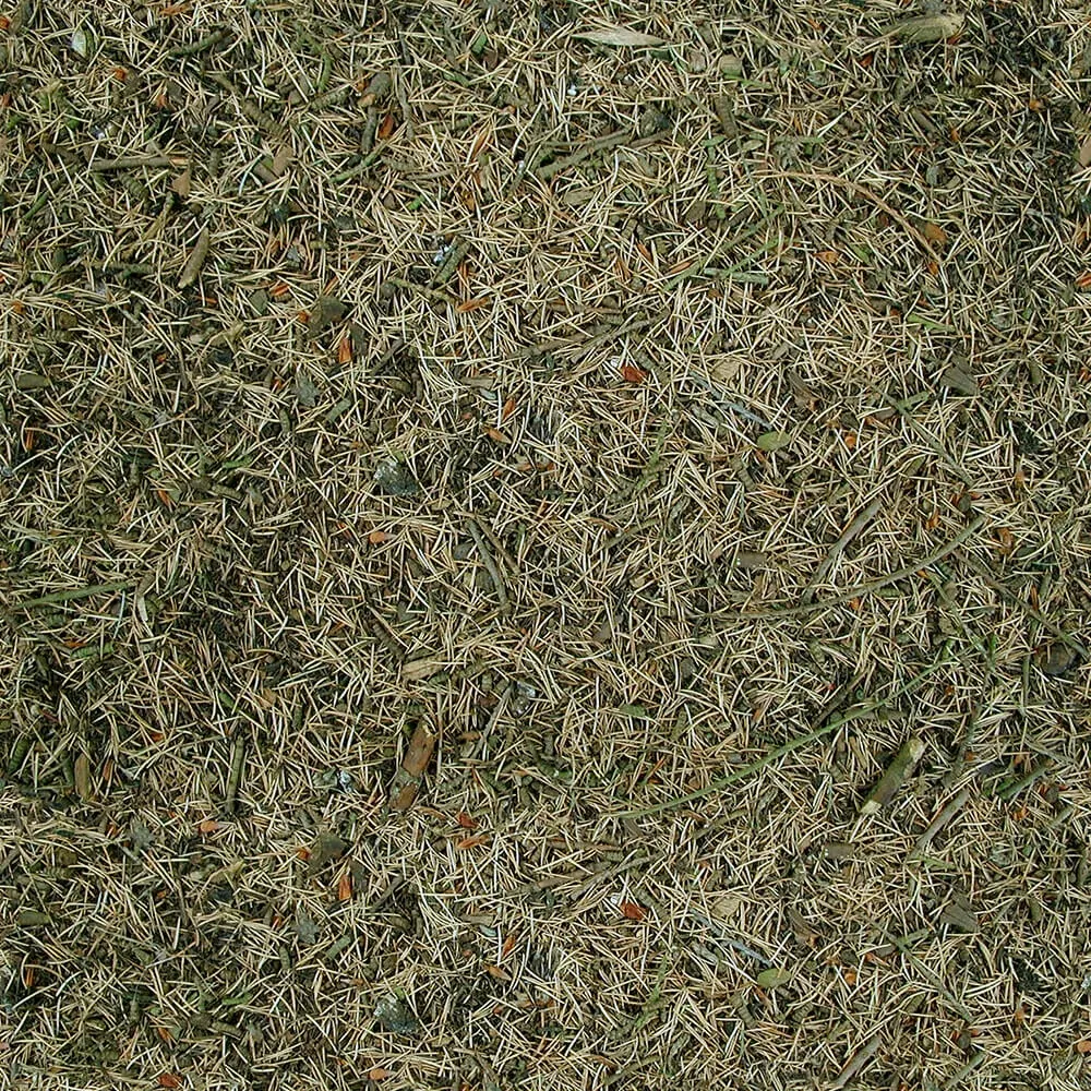 textures – Organic 21 3ds Max