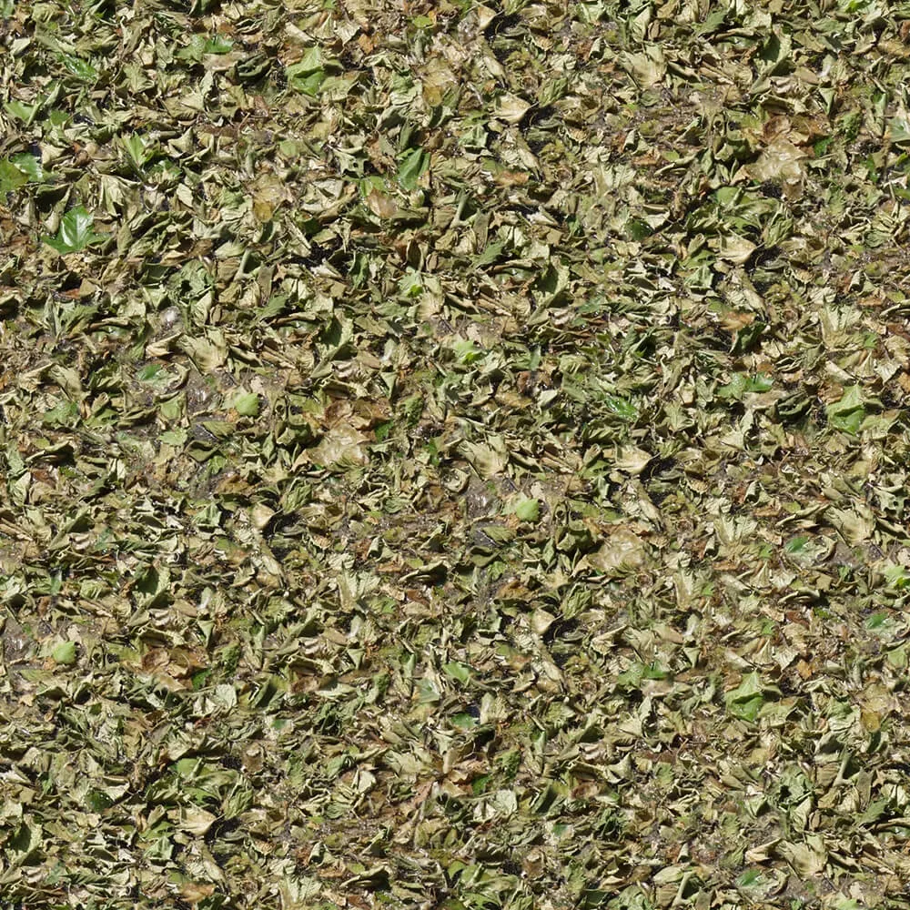 textures – Organic 22 3ds Max