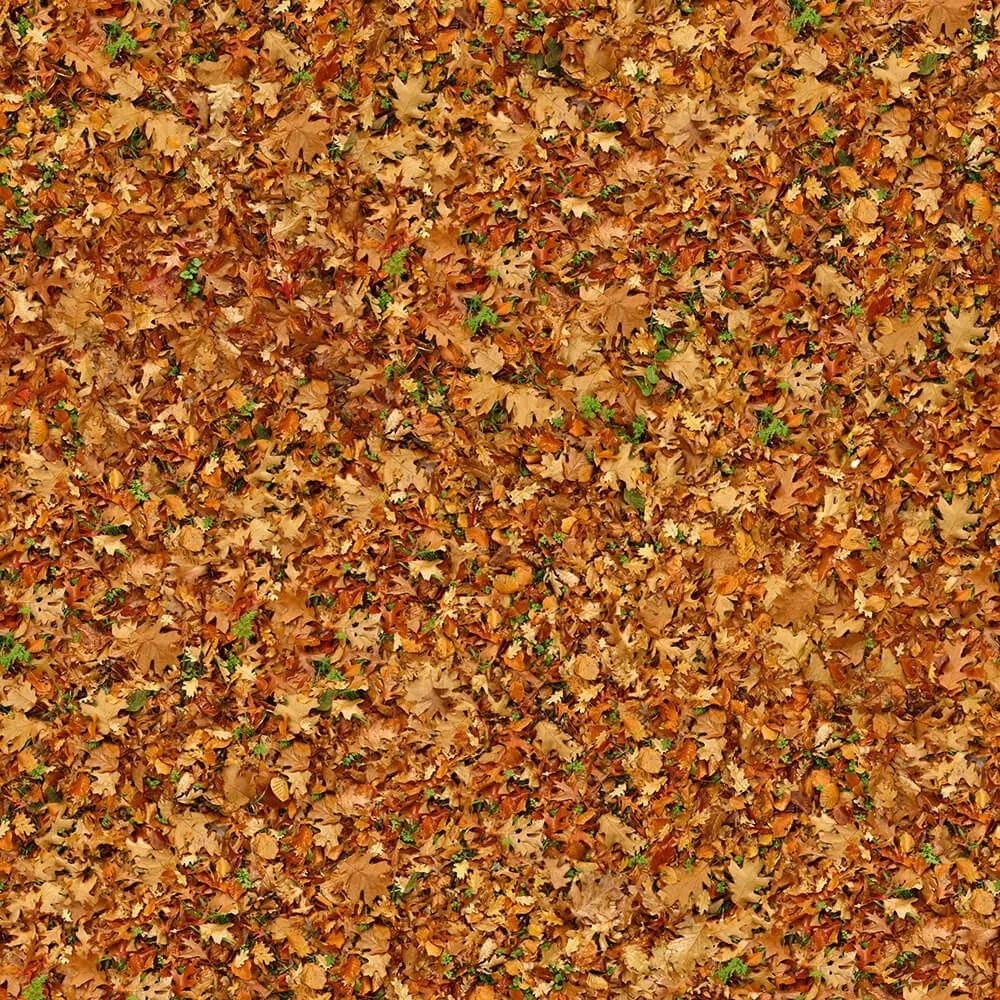 textures – Organic 23 3ds Max