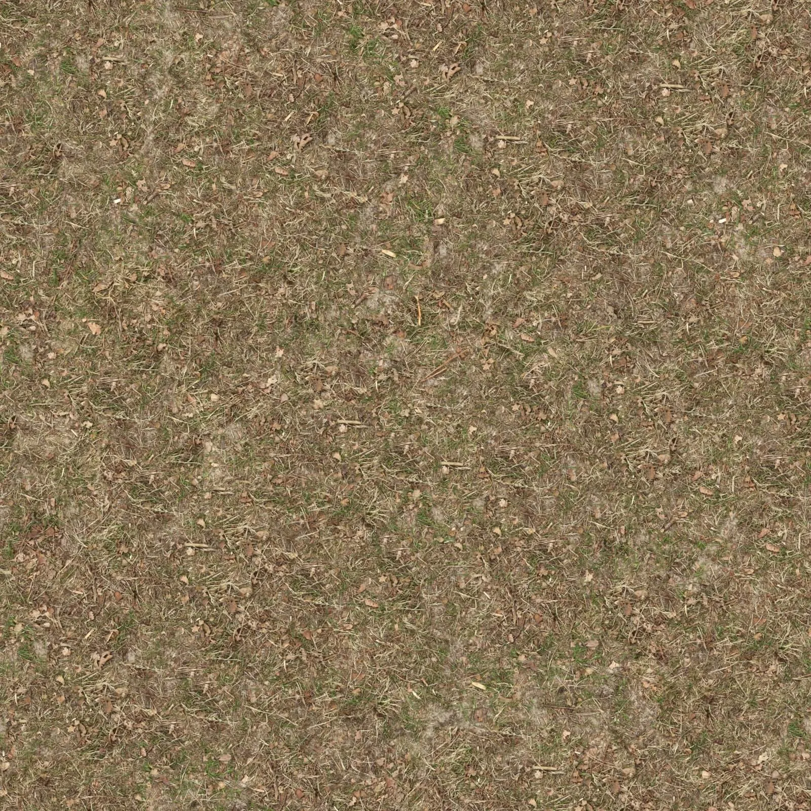 textures – Organic 26 3ds Max