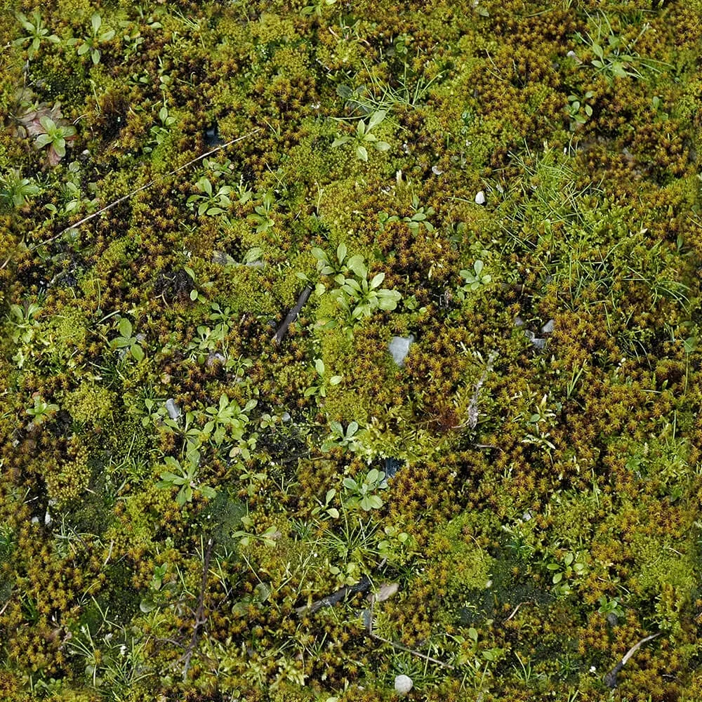 textures – Organic 27 3ds Max